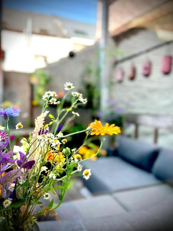 La Bellétage By Agelandkaai Be Appartement Gand
