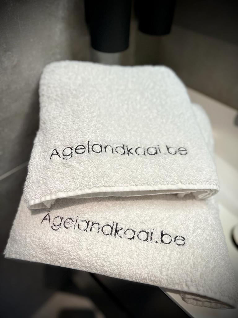 La Bellétage By Agelandkaai Be Appartement Gand